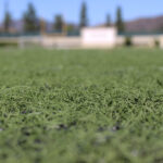 OCCA Report_SPORTS_Lucy Krause 3