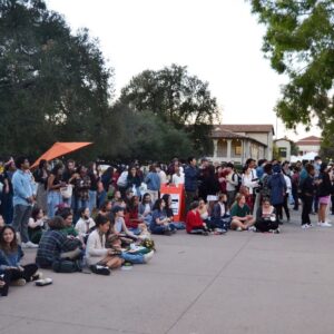 audience at lunar new year event