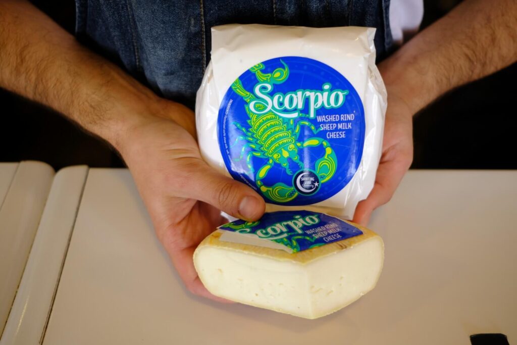 scorpio cheese