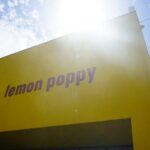 LemonPoppy_COMMUNITY_KateBown1