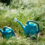 NortheastTrees7_CommunityNews_LachlanAshenmiller