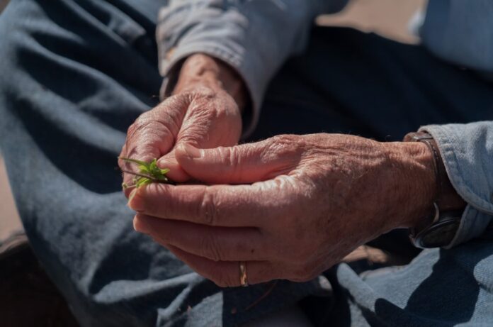 hands and weeds