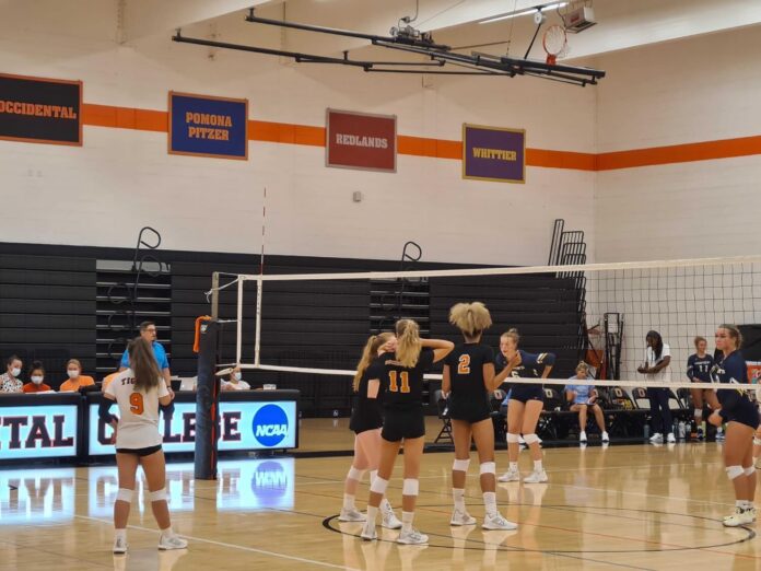 FYathletes_Sports_Lin1 volleyball