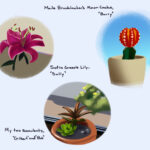 DormPlantsOfCamous_Media_Aiden