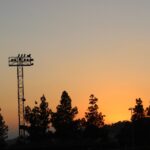 Field_MEDIA_LukaJackson9