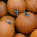 pumpkins_community_eddie7