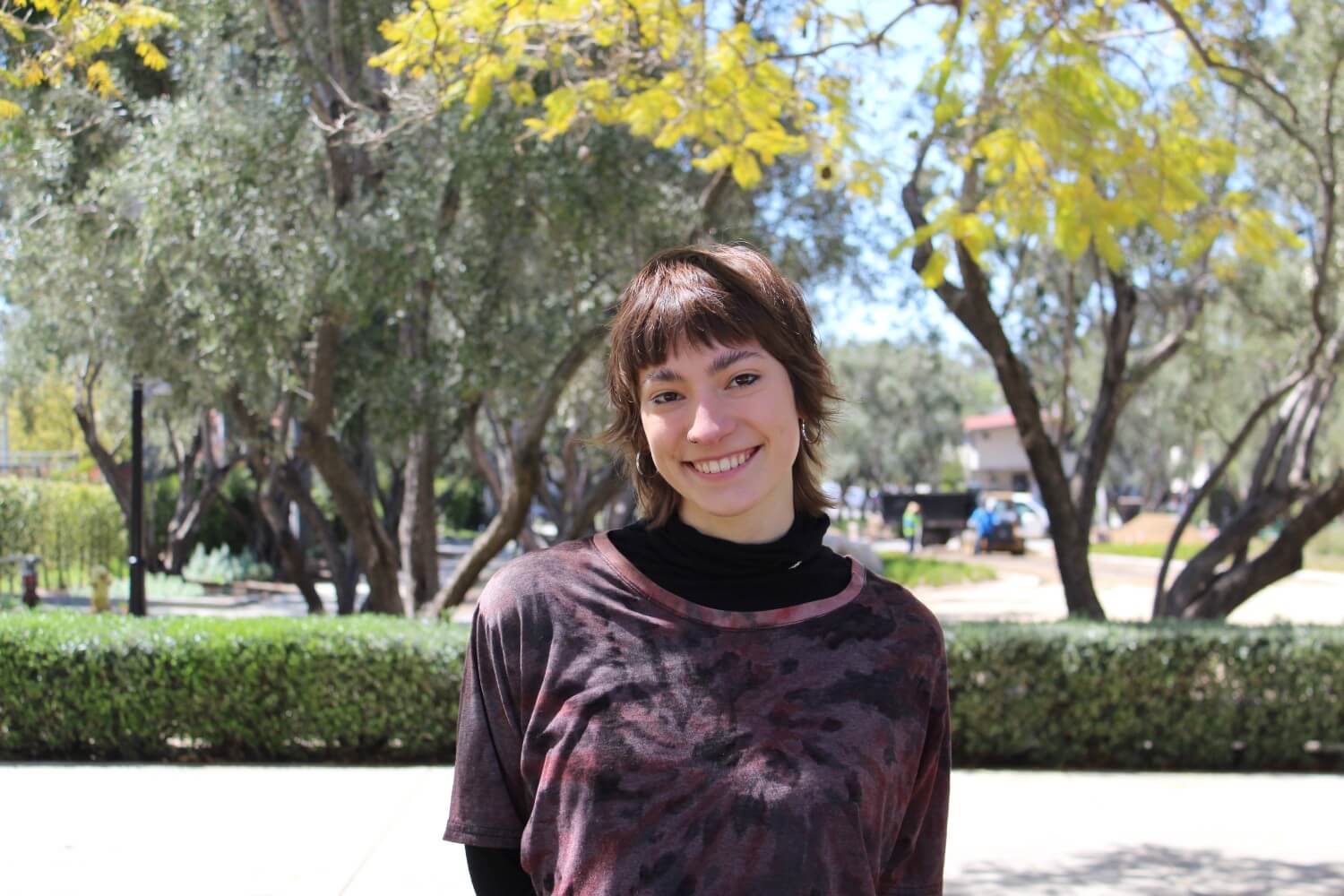 bengal driver strike