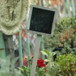 Echogarden_Community_Abel6