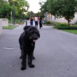 Walking_Community_Goddard_1