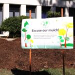 microforests_news_motyka4-768×512
