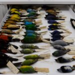 BirdWalk_ArtsAndCulture_Donovan_30