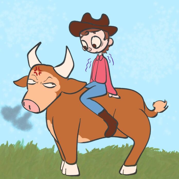 Chalmers_Bullriding_Opinions