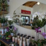 CreaturesPlants&Coffee_Community_Nimberg#3