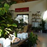 CreaturesPlants&Coffee_Community_Nimberg#5