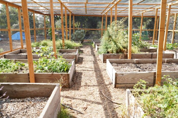 FEAST_Culture_Nimberg#4