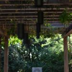 PresidentsHouse_Feature_Lipsett -03