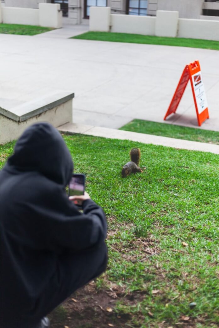 Animals_Culture_Lipsett6