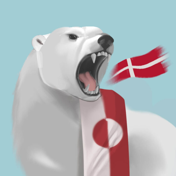 Greenland Opinion _ Leela Rao_