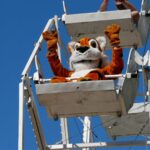 fallfest_artsculture_Hutton1