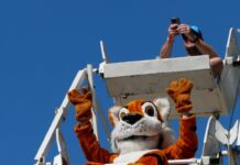 Oswald and Friends at Fall Fest