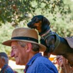 fallfest_artsculture_Hutton8