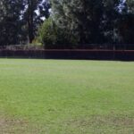 Groundskeeping_Sports_Bernard11