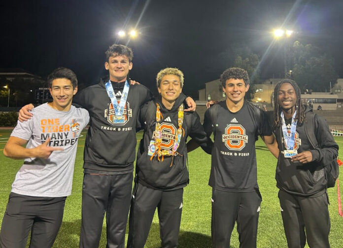 Track4x100_Sports_Fabel13