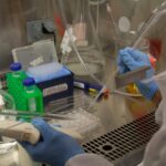 research_feature_valdez10