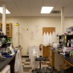 research_feature_valdez5
