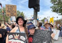 ‘Every little battle’: Eagle Rock rallies around No Kings