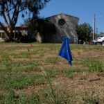 Landscaping_Essay_Goddard_1