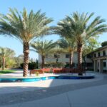 Landscaping_Essay_Goddard_18