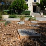 Landscaping_Essay_Goddard_4