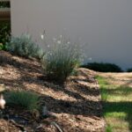 Landscaping_Essay_Goddard_7