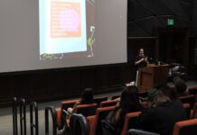 Anahid Yahjian tells a story of hybridity through MAC residency