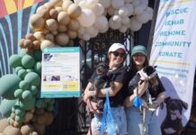 Nonprofit dog rescue launches coffee brand