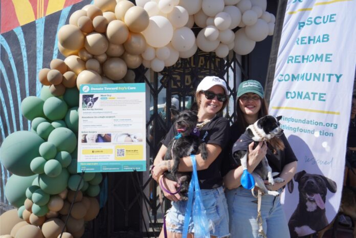 Pawfee at Highland Cafe_Community_Adams1